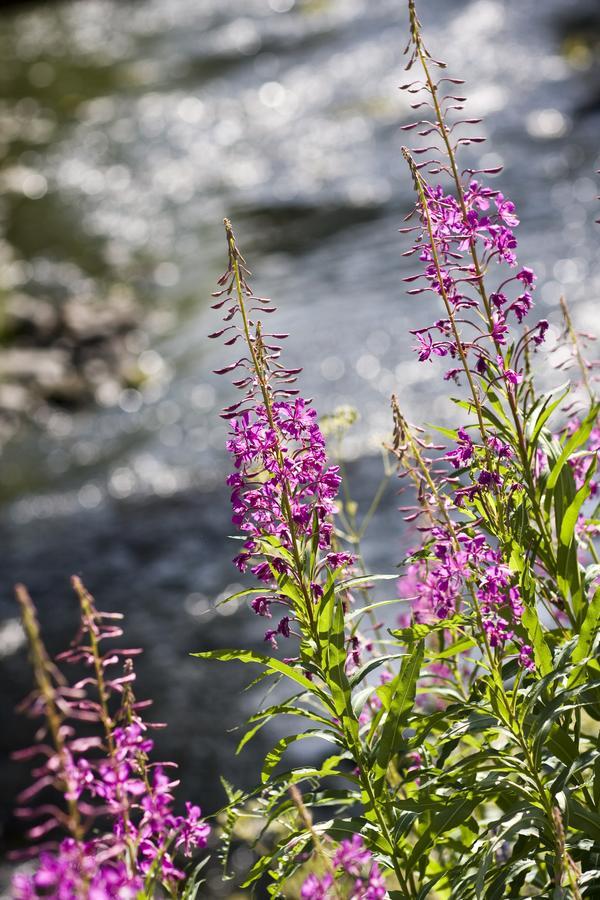 Melderstein Herrgard Ranea Buitenkant foto